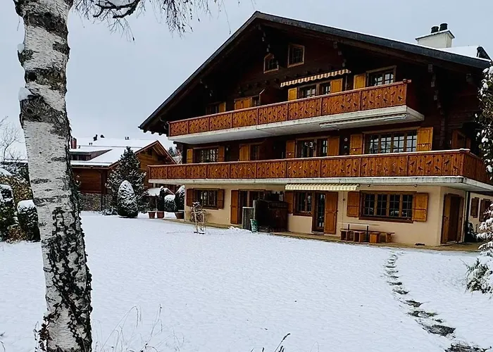 Magic Pass - Wonderful Family Holiday home Chesieres